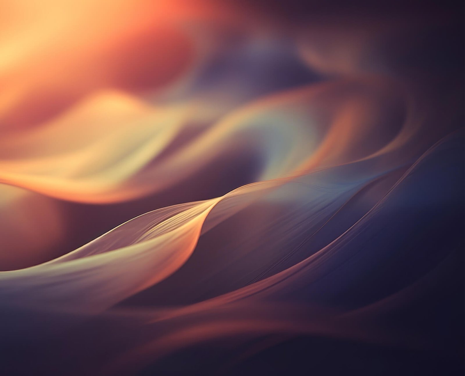 Marie van Hoorn Photography